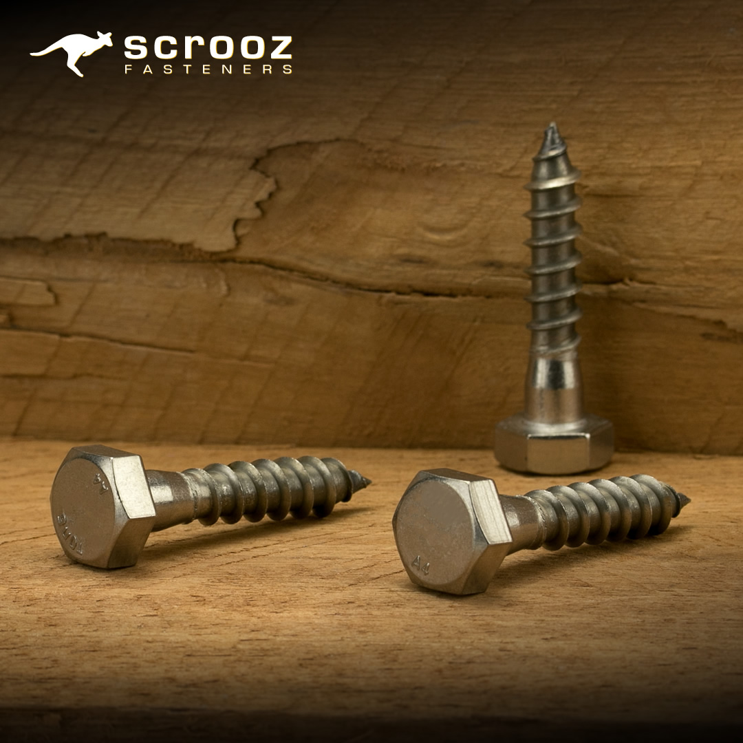 screws-coach-screws-coach-screws-stainless-steel