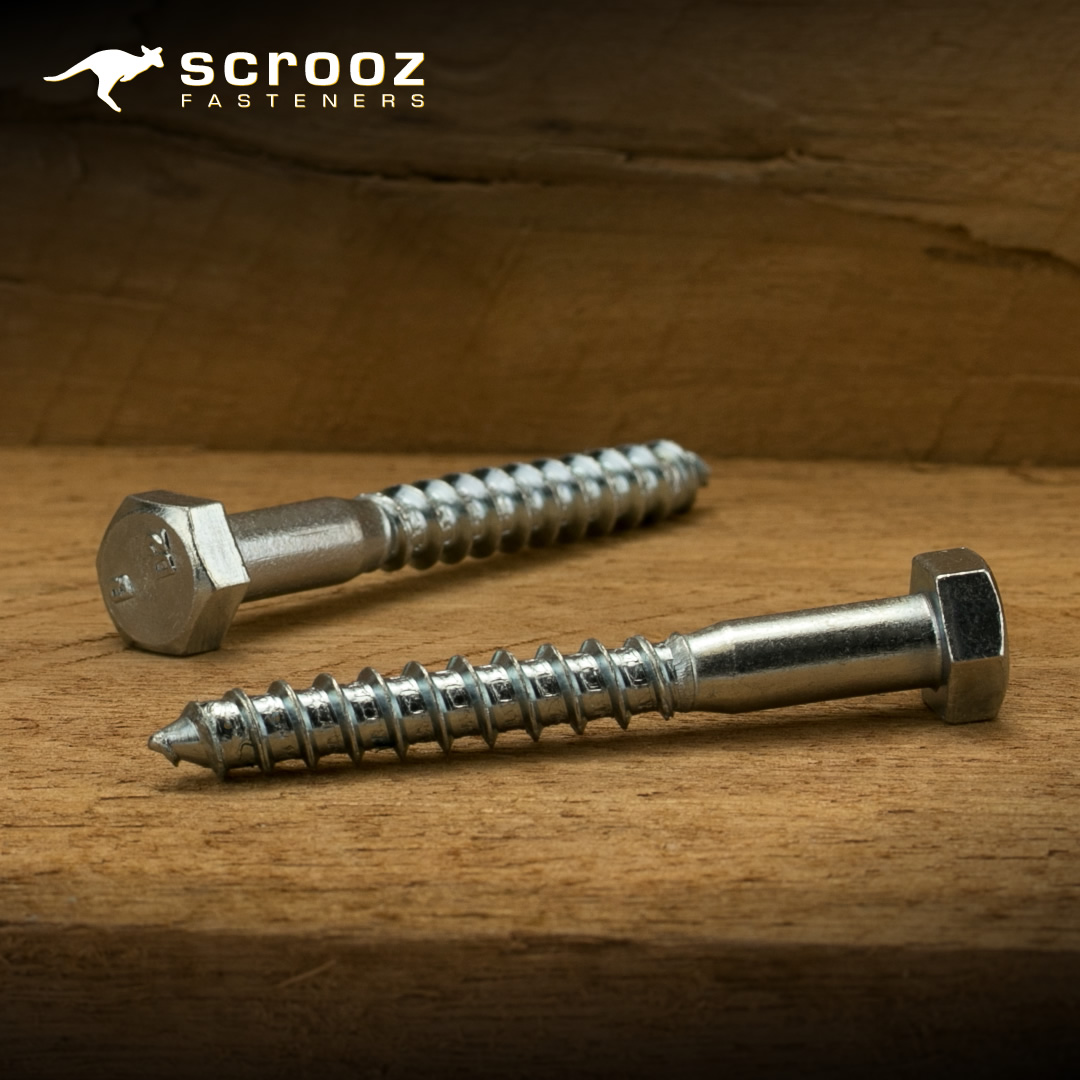 Coach Screws Zinc Plated