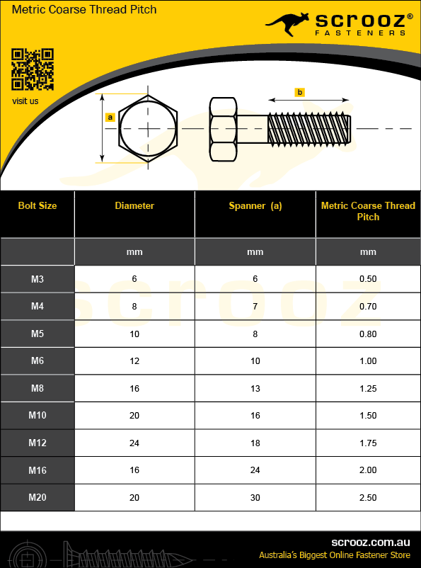 bolt and nut metric thread pitch chart for coarse thread bolts chart infographic. Stainless Steel 316