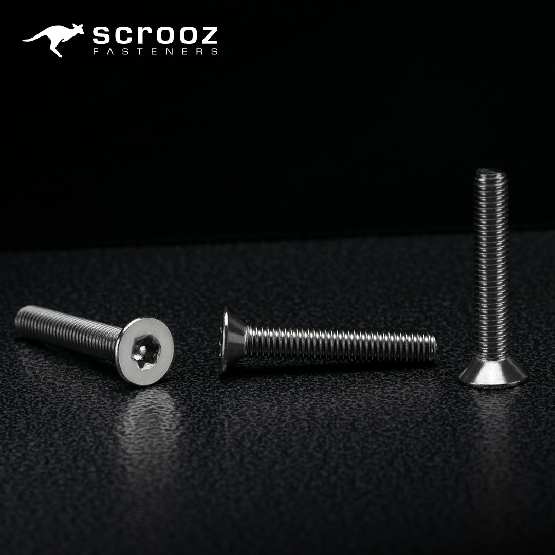 Scrooz Security Screws