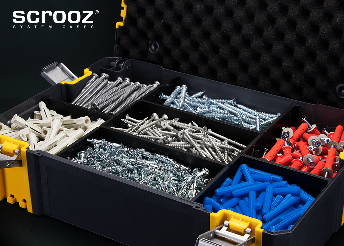 Scrooz System Cases