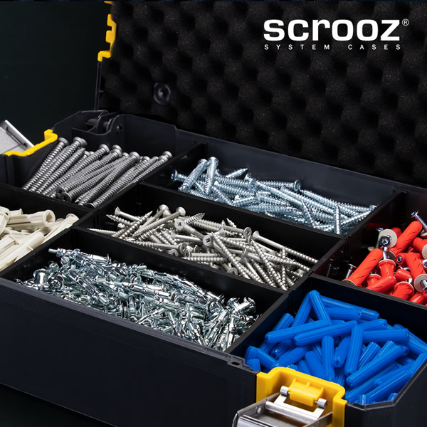 Scrooz System Cases