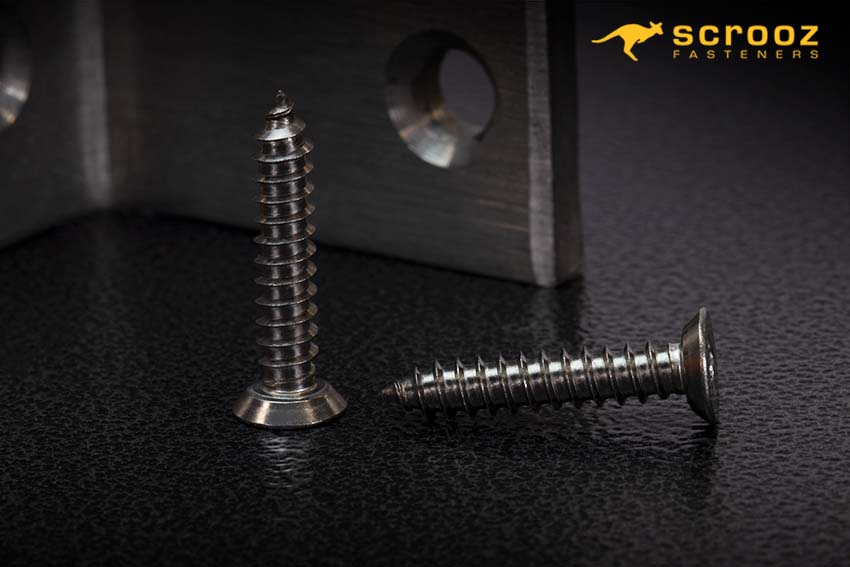 Undercut Self Tapping Screws Stainless Steel, also called Hinge Screws