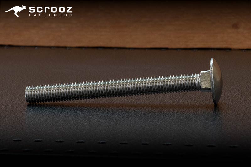 Coach Bolts Stainless main splash image on a metal background