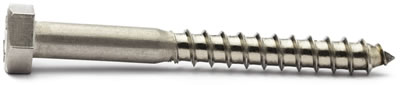 Coach Screws Stainless Steel