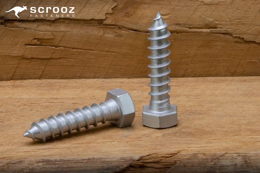 Coach Screws Galvanised up close main category image