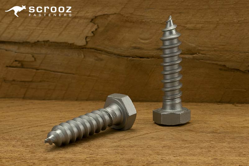 Coach Screws Galvanised up close main category image