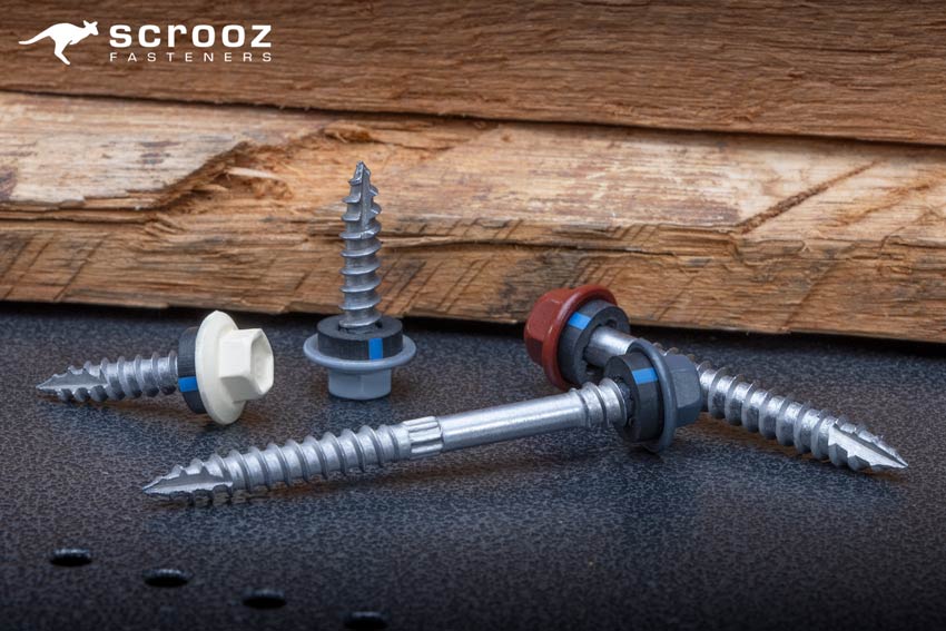 Colorbond roofing wood screws image grouped up shot of screws closeup