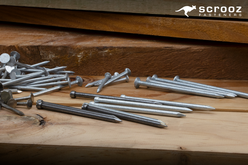 Nails by Scooz Fasteners. Clouts, Bullet Nails, Flat Head nails. Bright and Galvanised nails on a wood background.
