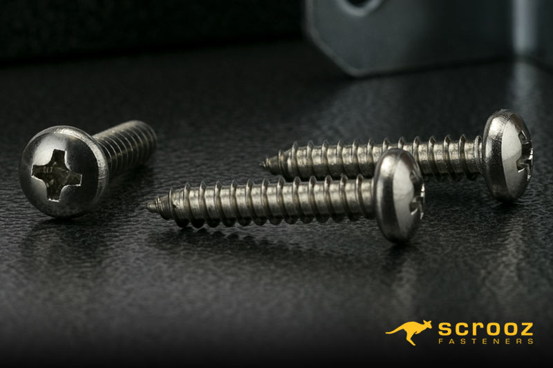 Self Tapping Screws Stainless Steel Panhead Screws Close Up Main Shot