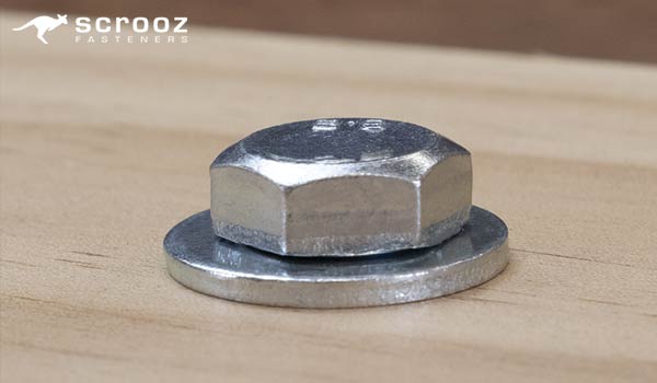 What Are Washers For - Hex Nut and Flat Washer in Wood