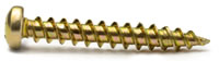 Panhead Multi Purpose Gold Screws