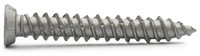 Raptr Plus Brick and Concrete Screws