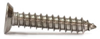 Undercut Self Tapping Screws Stainless Steel