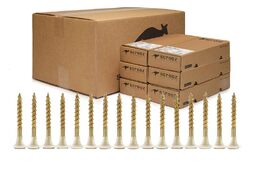 BlackStrip Collated Gold Wood Screws 8g x 50mm Ctn 4000