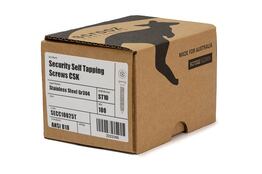 Security CSK Self Tap ST10 6g x 25mm Box 100
