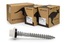 Surfmist 12g x 50mm Roof T17 Screw C5 CTN 1000