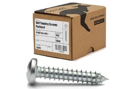 4g x 10mm Self Tapping Screws PAN BZP box 1000