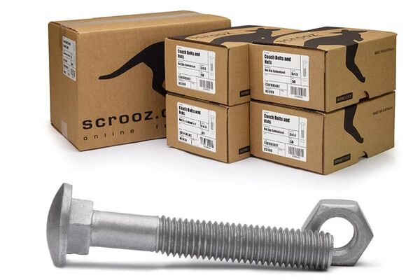 M10 x 170mm Coach Bolts GAL Carton 100