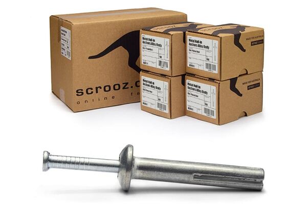 Metal nail in anchors 6.5 x 50mm bulk carton 800