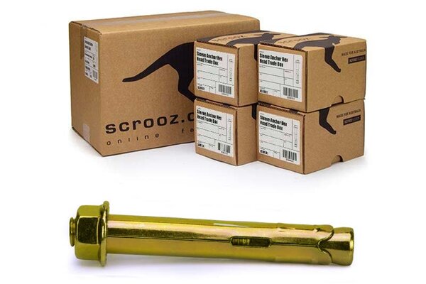 Sleeve Anchors 10 x 60mm Gold Zinc Carton 400