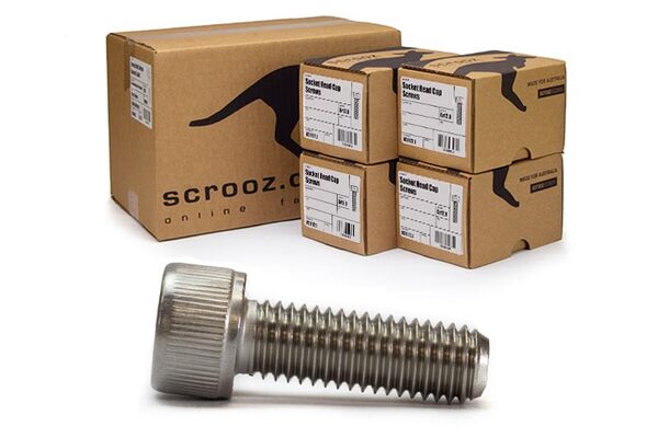 M4 x 25mm Socket Cap Screws 316 CTN 200