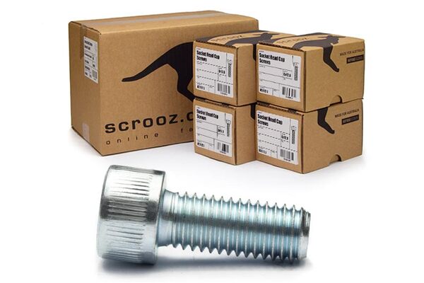 M6 x 16mm Socket Cap Screws Zinc Carton 800