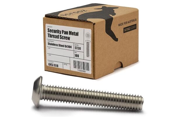 Security Pan Metal Thread ST30 M6 x 30mm Box 100