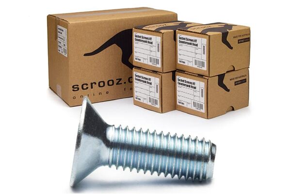 M6 x 16 CSK Socket Screws BZP Carton 800