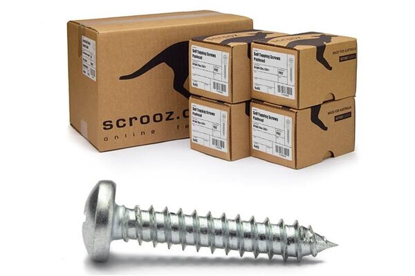 8g x 45mm Self Tapping Screws PAN BZP CTN 2000