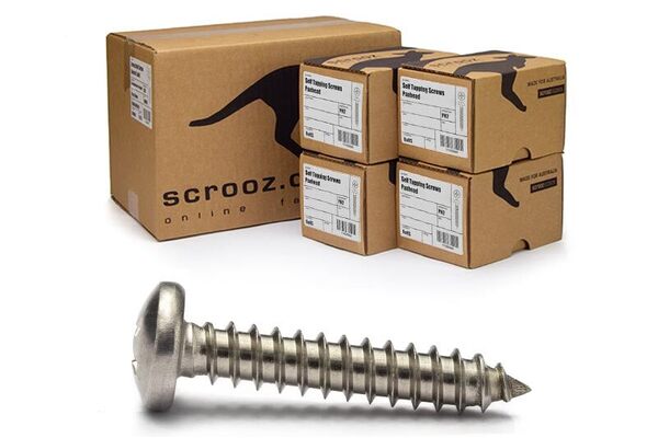 8g x 32mm self tapping pan 316 ctn 2000