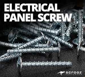 Electrical Panel Screws