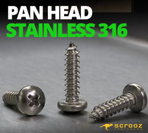 Multi Purpose Self Tapping Screws Pan 316 Stainless