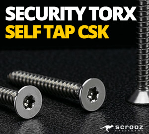 Security Self Tapping Screws Countersunk