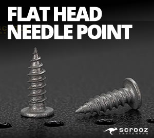 Flat Head Needle Point Screws